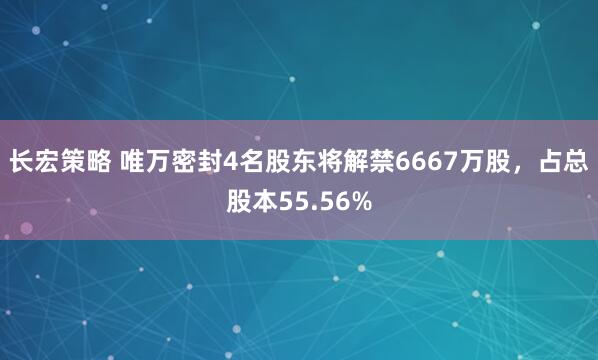 长宏策略 唯万密封4名股东将解禁6667万股，占总股本55.56%