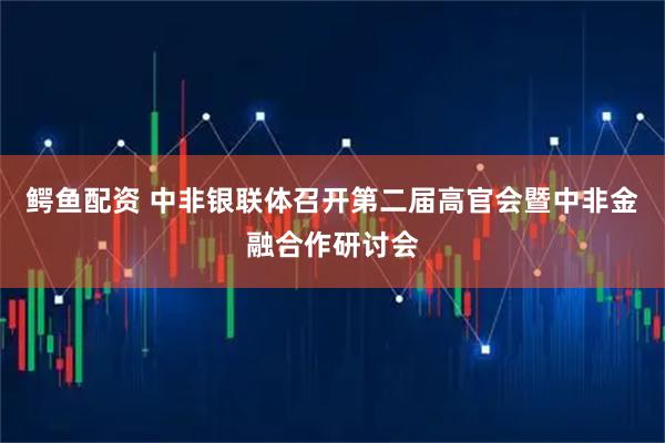 鳄鱼配资 中非银联体召开第二届高官会暨中非金融合作研讨会